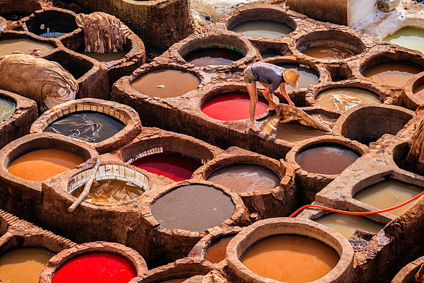 Tours From Fez - RMT