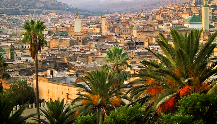 Fez - RMT