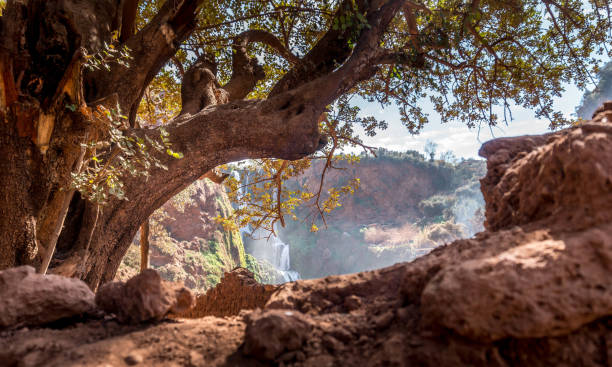 Ouzoud Waterfalls - RMT