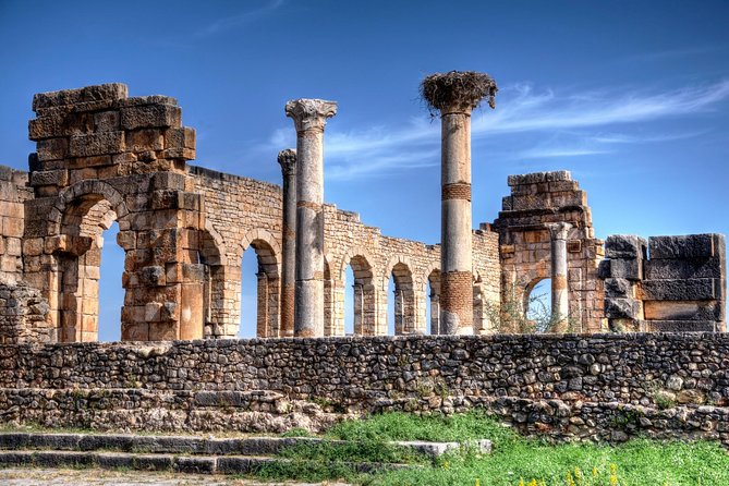 Day Trip To Volubilis - RMT