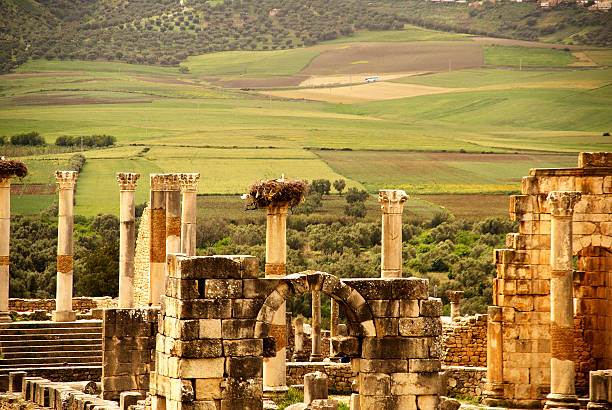 Volubilis - RMT