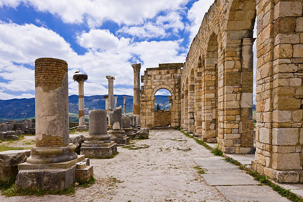 Volubilis - RMT